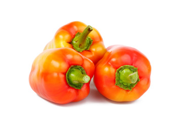 Pepper
