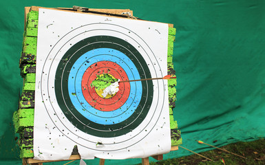 Target archery with protruding arrow. after a successful archery target fallen into disrepair
