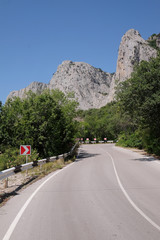 Landscape with the image of a mountain road