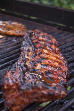 Grilling Pork Loin Ribs