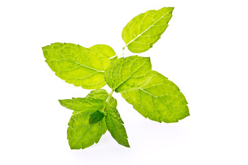 Menthe