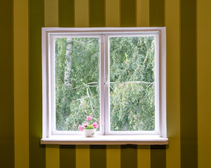 Old white wood window in striped brown and yellow wall