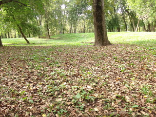 Городской парк в солнечный день ранней осенью