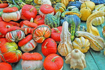 Pumpkins at Ravenna Gardens & Terraces 2015 Green Ravenna floral exhibition.
