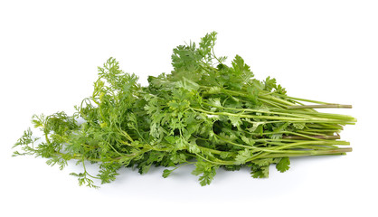 coriander on white background