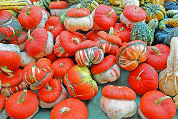 Pumpkins at Ravenna Gardens & Terraces 2015 Green Ravenna floral exhibition.