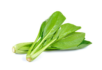 Choy Sum on White Background