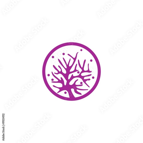 coral and star fish vector template stock image and royalty free
