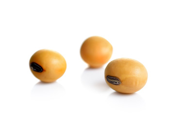 Dried  soybean on a white background
