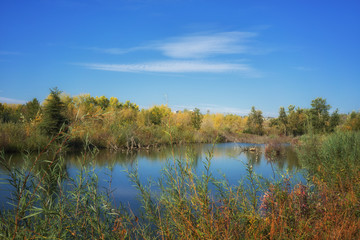 Autumn landscape of a pond, Prince's Island Park, Calgary, Alberta.
