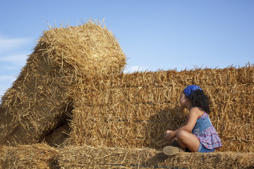Naklejka na ściany i meble Niña pequeña en las alpacas de heno al final de verano. Chica joven disfrutando en el campo de una tarde de verano. 