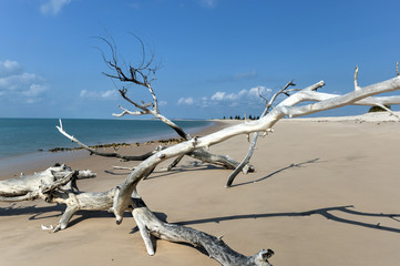 Magaruque Island - Mozambique