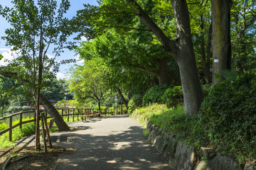 洗足池公園