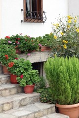 Miniature Garden With Plants And Flowers Before Home Entrance