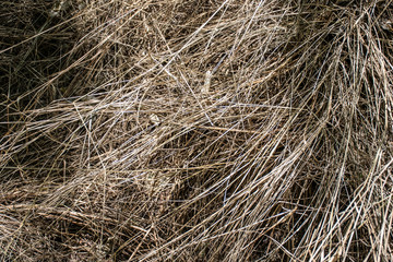 Hay textured