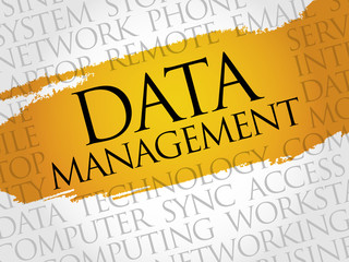 Data Management word cloud concept