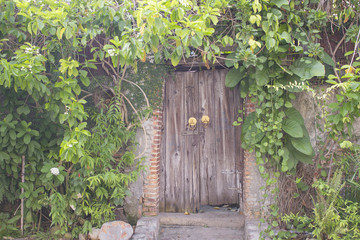 Old wooden door at old town ; Songkhla province Thailand