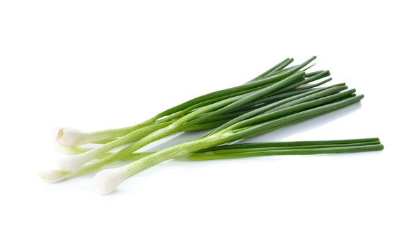 whole green spring onion on white background