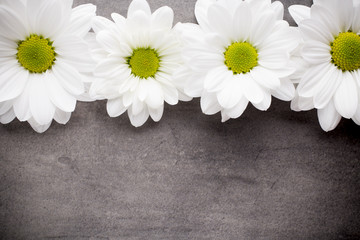 Obraz premium White flowers.