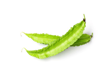 Winged bean