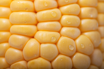 Pattern of fresh sweet corn