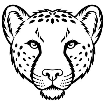 Cheetah Face Vector Images – Browse 13,473 Stock Photos, Vectors, and Video  | Adobe Stock