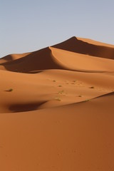 Fototapeta na wymiar Maroc, Sahara, dunes de sable