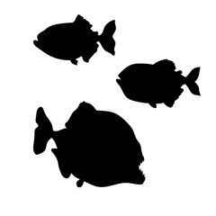 Piranha fish vector silhouettes.