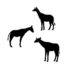 Okapi vector silhouettes.