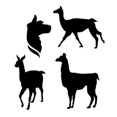 Vector silhouettes of a lama.