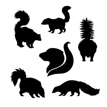 Vector silhouettes of skunk.