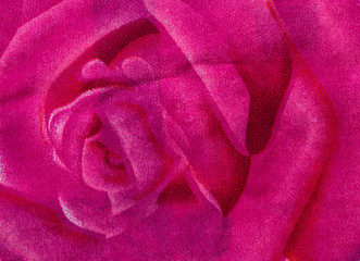 Pink rose fabric