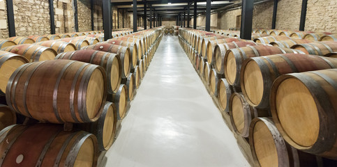 wooden barrels in  winery factory