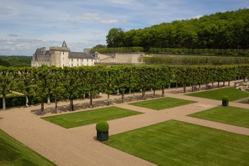 green labyrinth