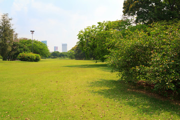 City park