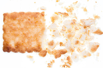 Crumbs of Biscuit