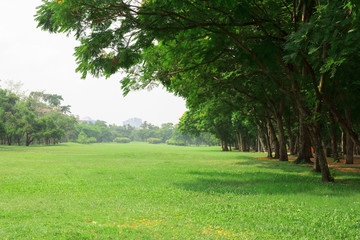 City park