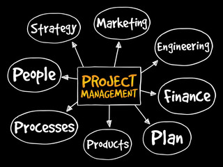 Project management mind map, business concept