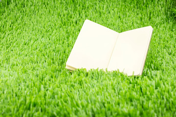 Open notebook on green grass, Business and Education concept tem
