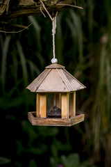 Kleines Vogelhaus im Wald