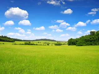 Fotobehang Summer landscape with blue sky with clouds in Czech Republic © vencav
