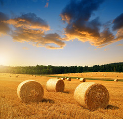 Straw bales on farmland at sunset