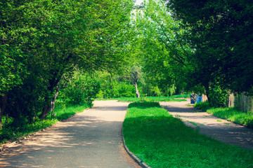 park