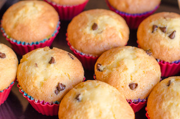 Making cupcakes with chocolate chips.