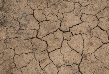 dry cracked earth background