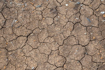 dry cracked earth background