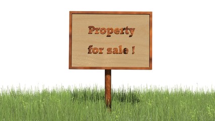 Sign in grass "Property for sale" - separated on white BG