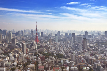 Fototapeta premium Skyline of Tokyo, Japan with the Tokyo Tower, from above