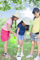 Fototapeta premium 水やりをする小学生