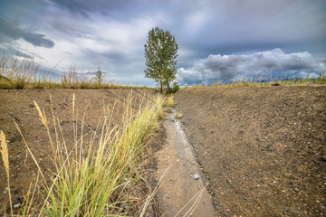 summer mountain landscape
